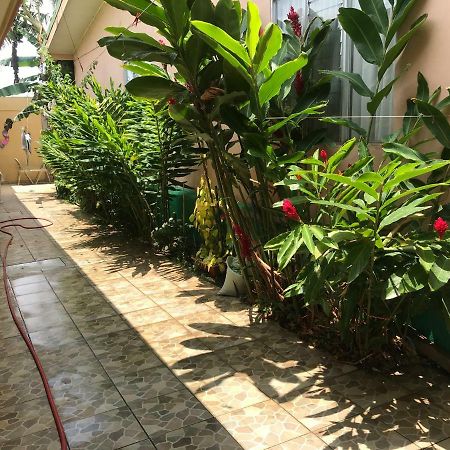 לינה וארוחת בוקר Desamparados  Casa Del Suizo מראה חיצוני תמונה